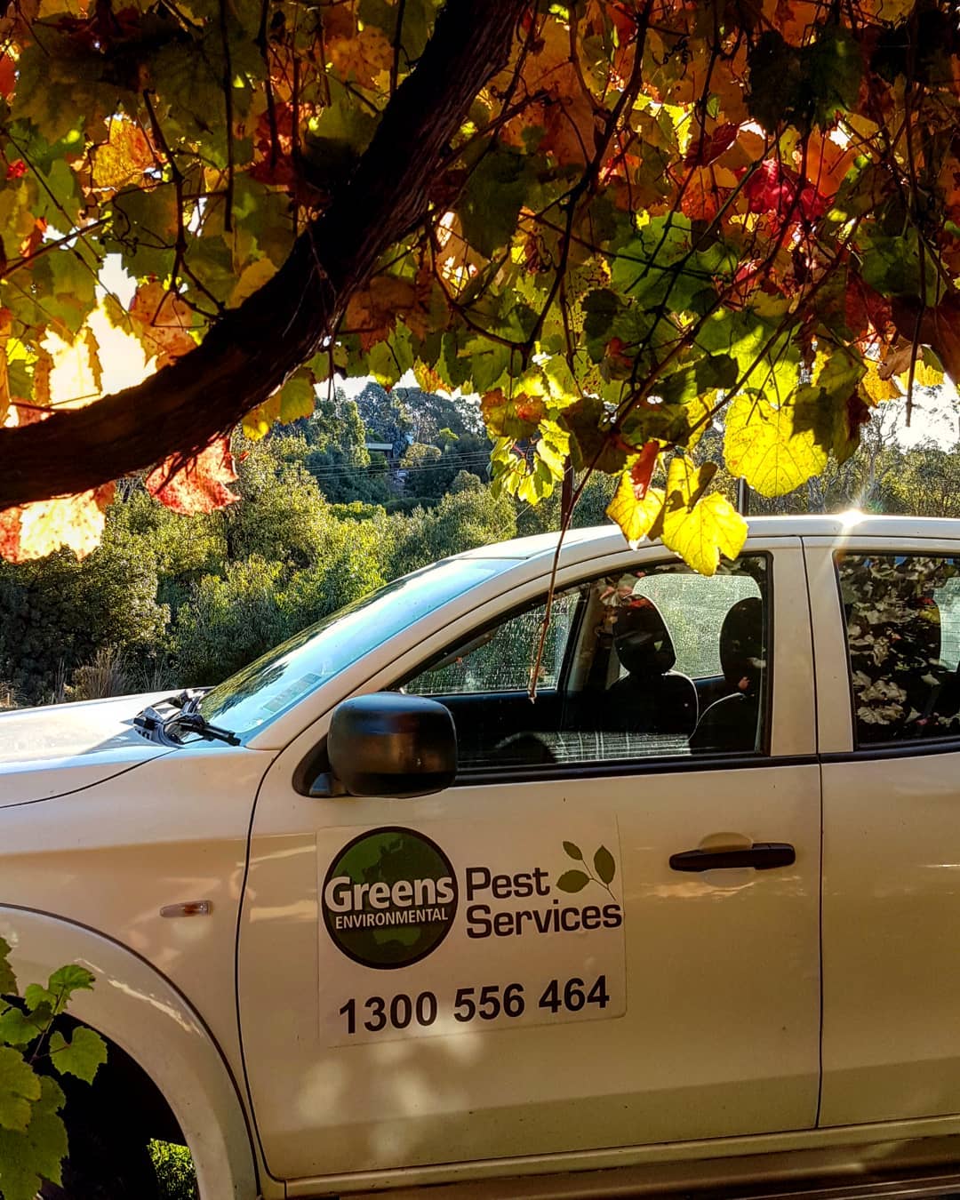 Greens pest control adelaide company vehicle
