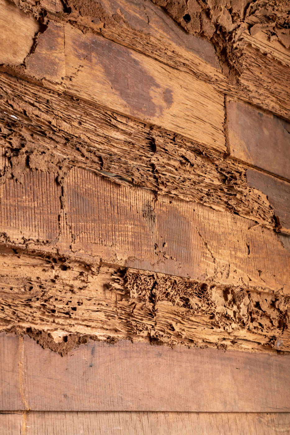 Termite inspections Adelaide - wood around the home - termite treatments
