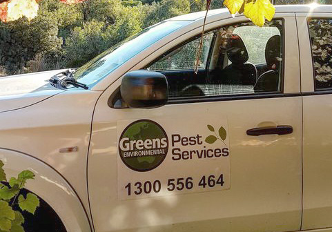 pest control termite inspections near me